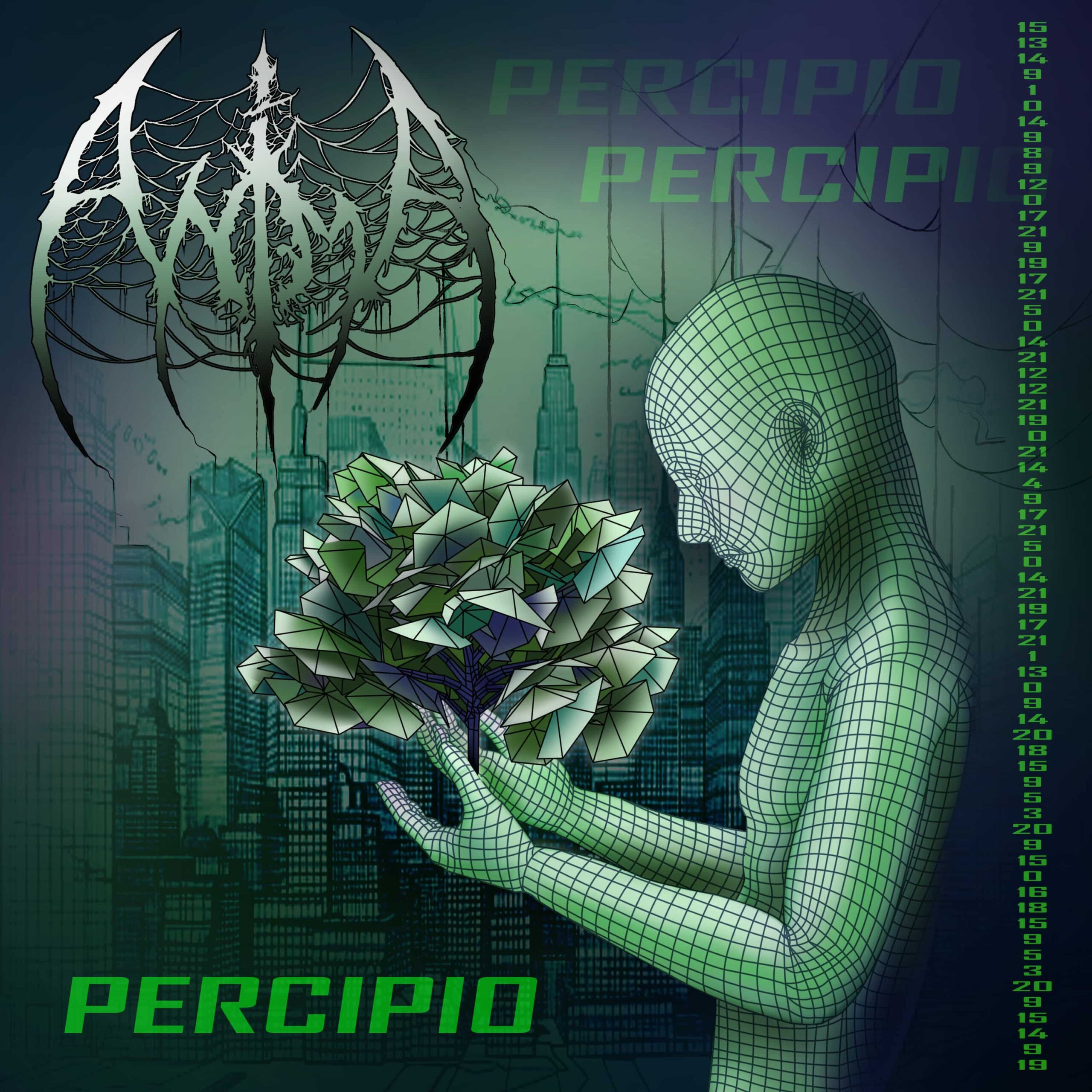 Anima Percipio