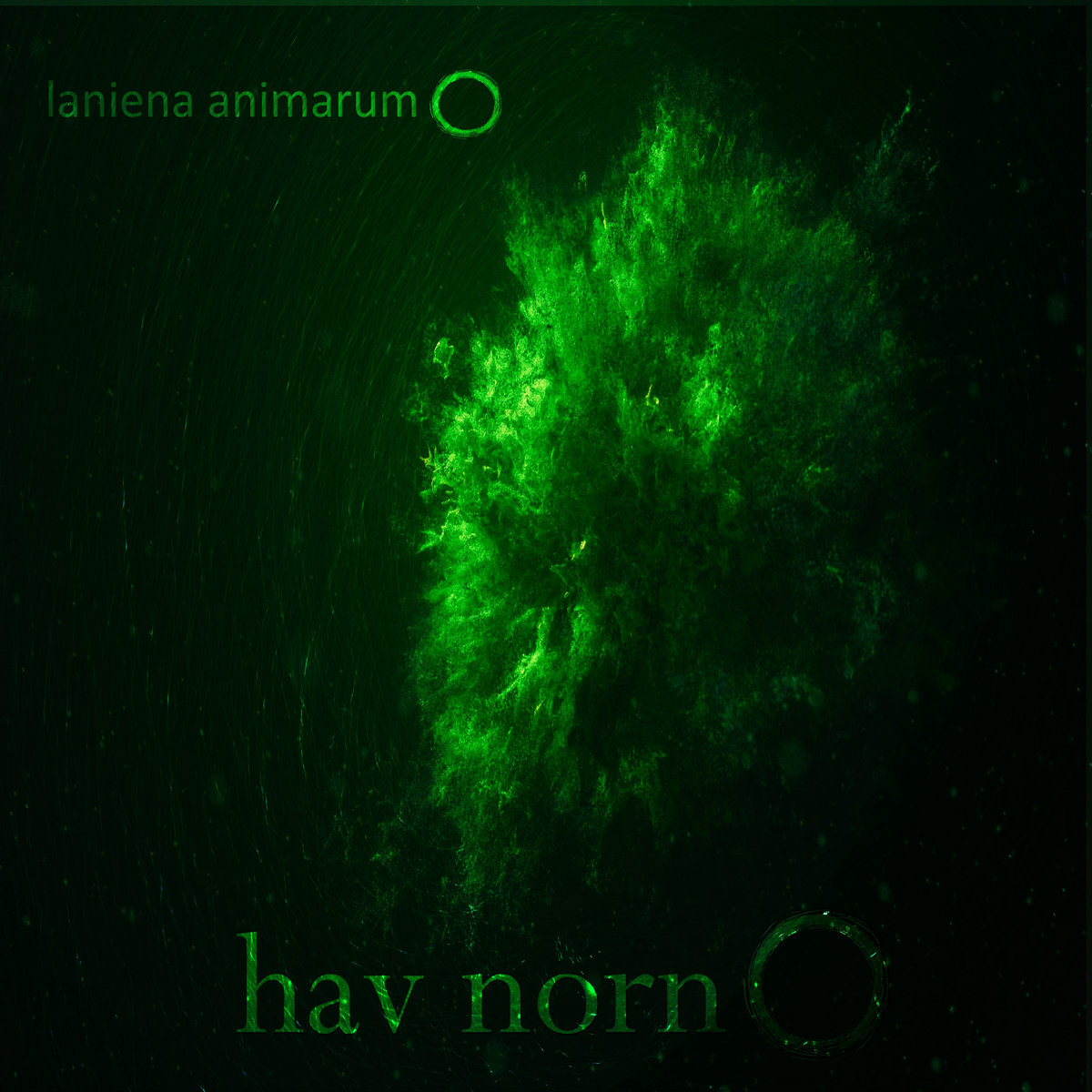 Hav Norn Laniena Animarum