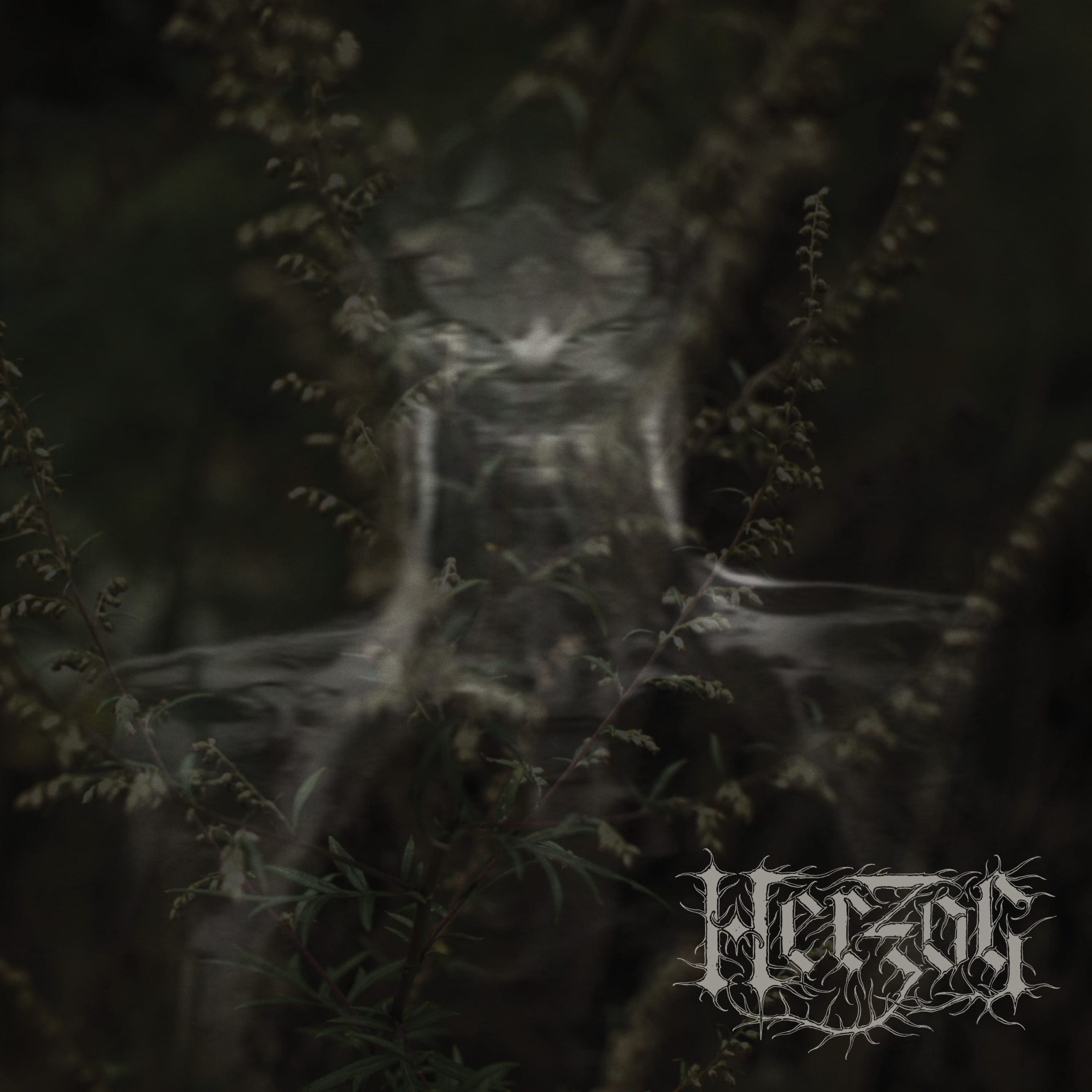 Herzog Mugwort