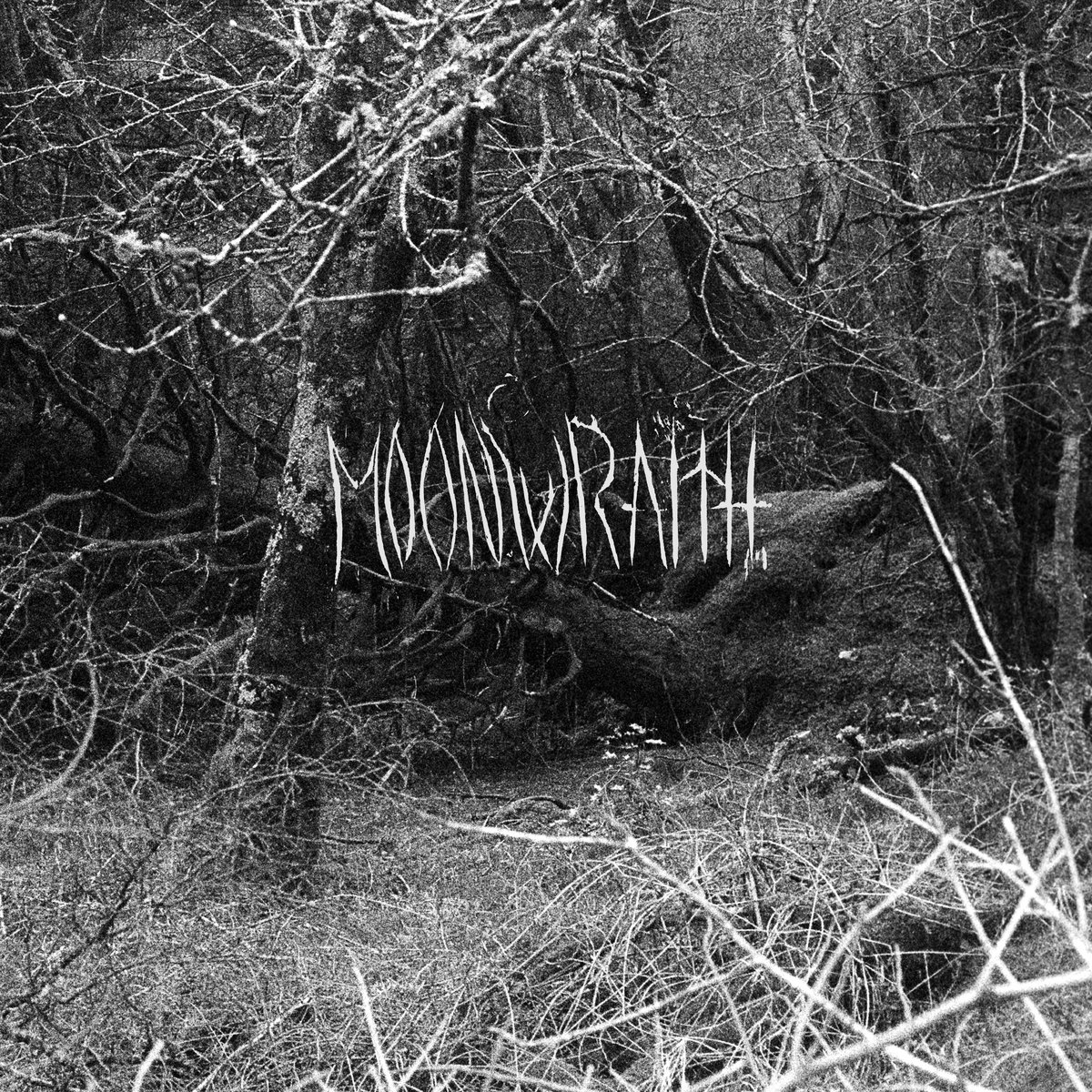 Moonwraith To The Woods