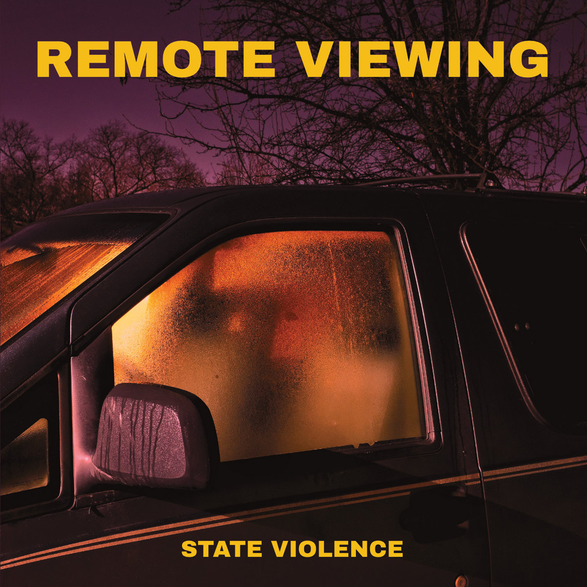 Remote Viewing State Violence