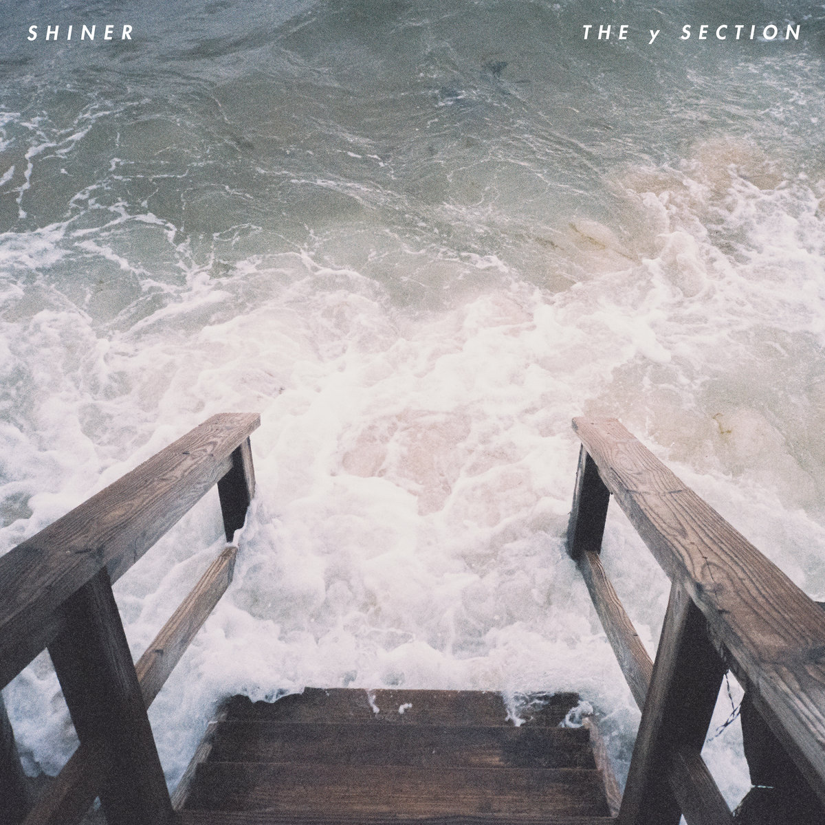 Shiner The Y Section