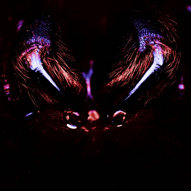 Ombra Night Terror